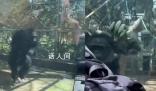 大猩猩疑被游客挑衅怒撞玻璃 很多游客没有素质以后会加强安保和多贴标语